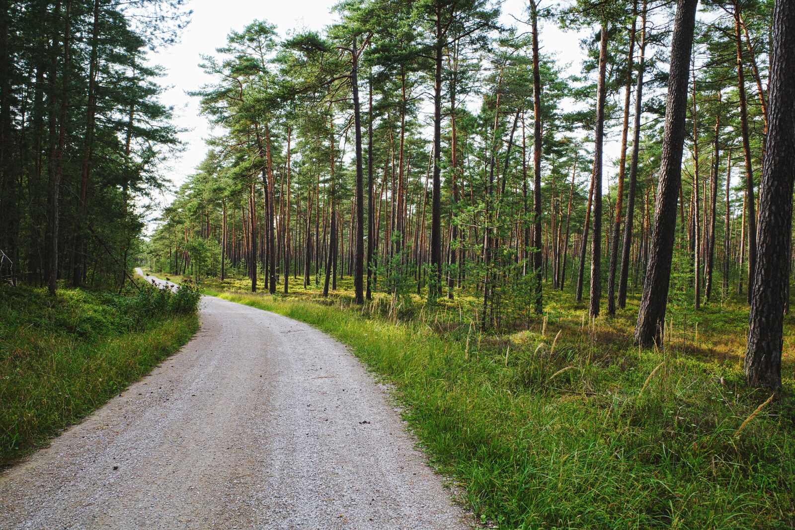 Der Fränkische Dünenweg
