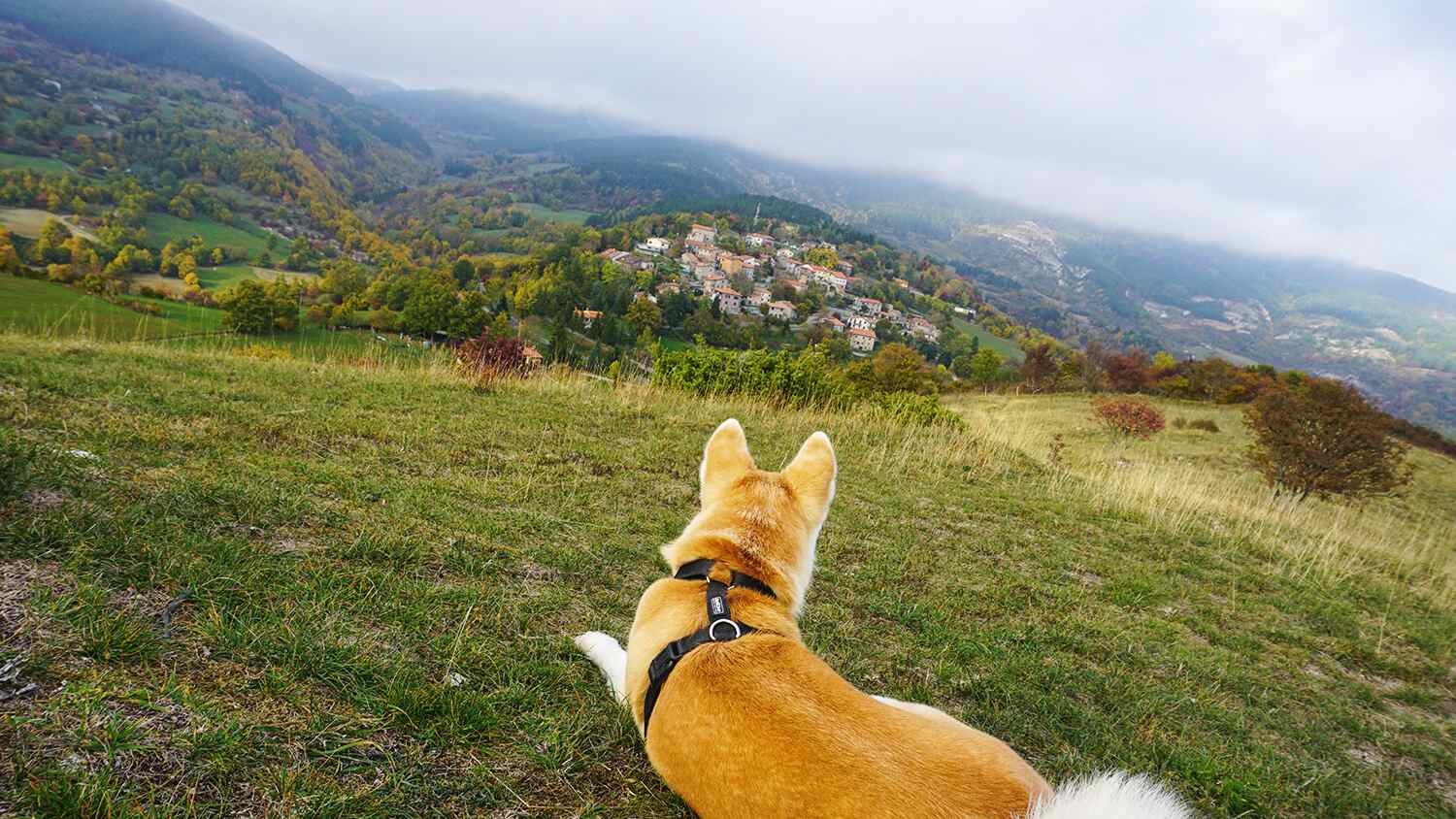 franziskusweg montalone
