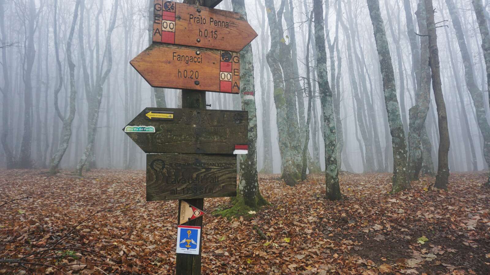 franziskusweg schilder nebelwald