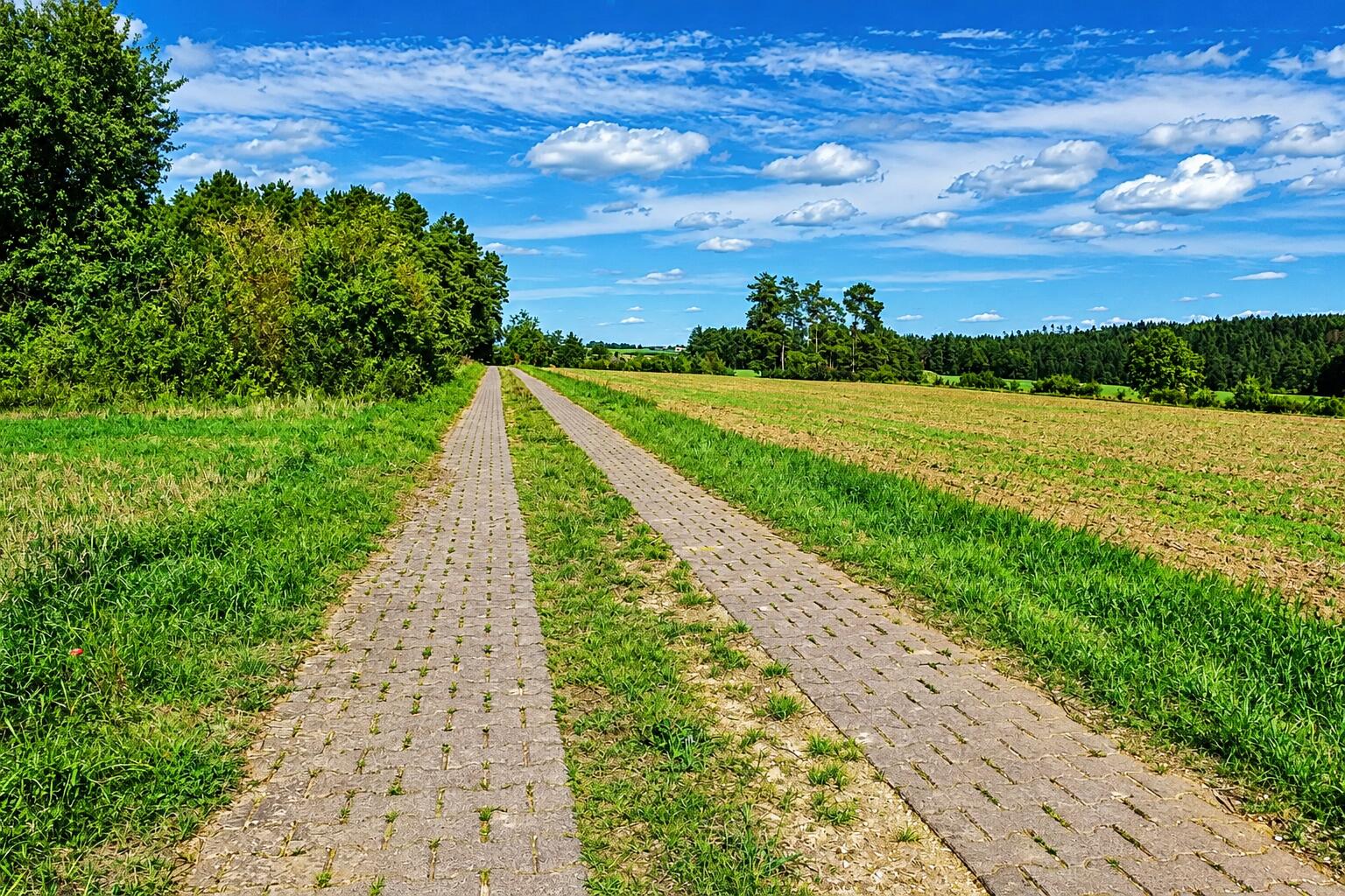 Flurbereinigungsweg bei unserer Wanderung