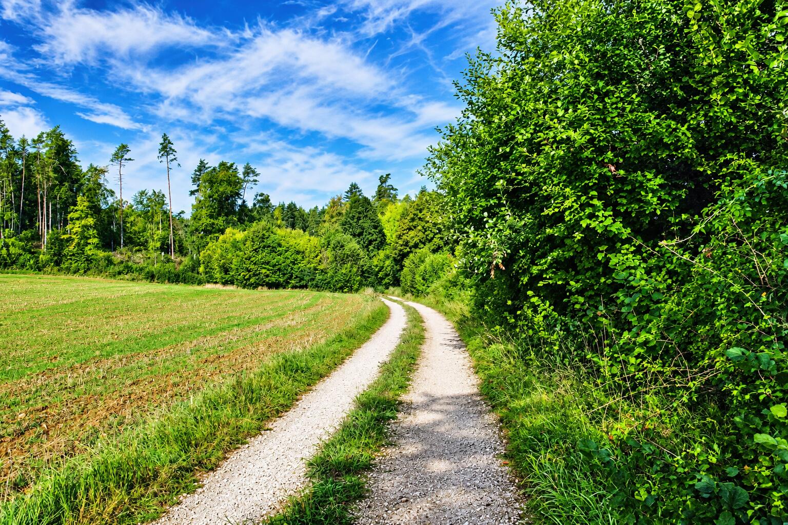 Unser Wanderweg