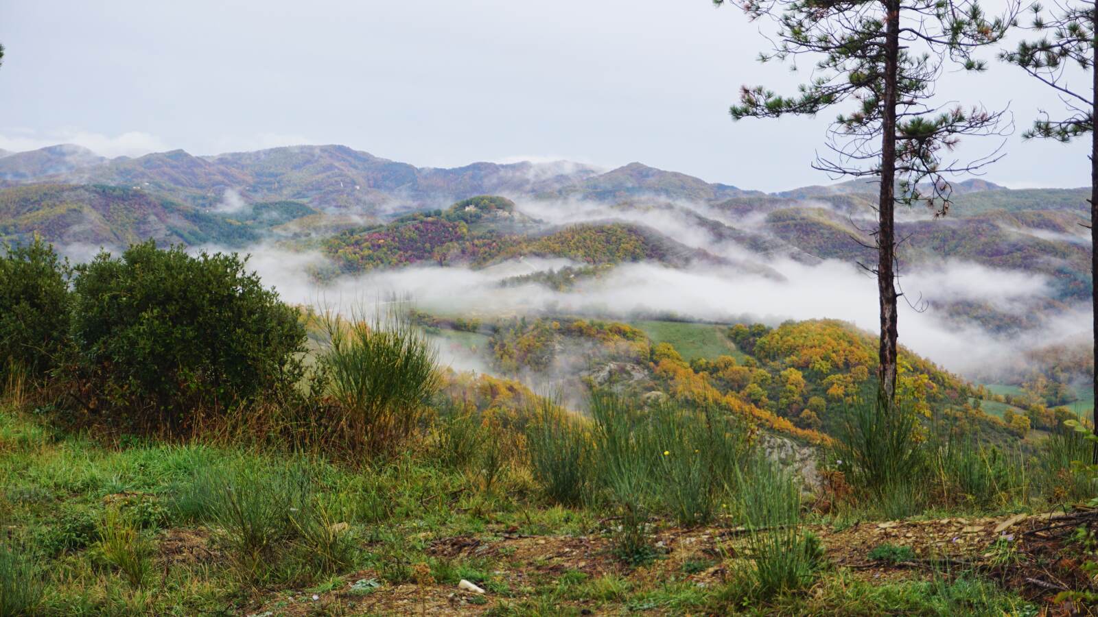 Franzsiskusweg Nebel Taeler