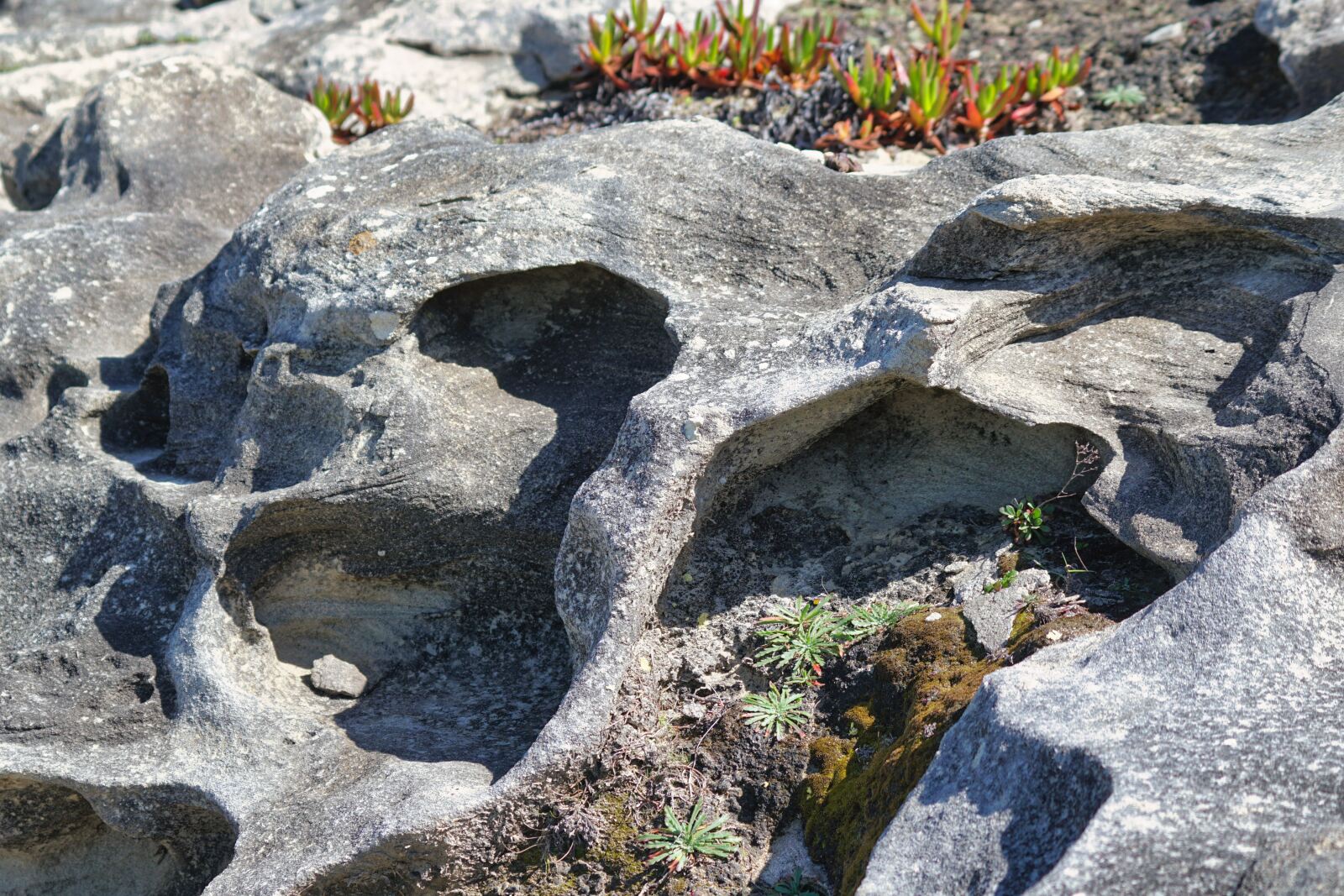 Foz do Arelho erosion