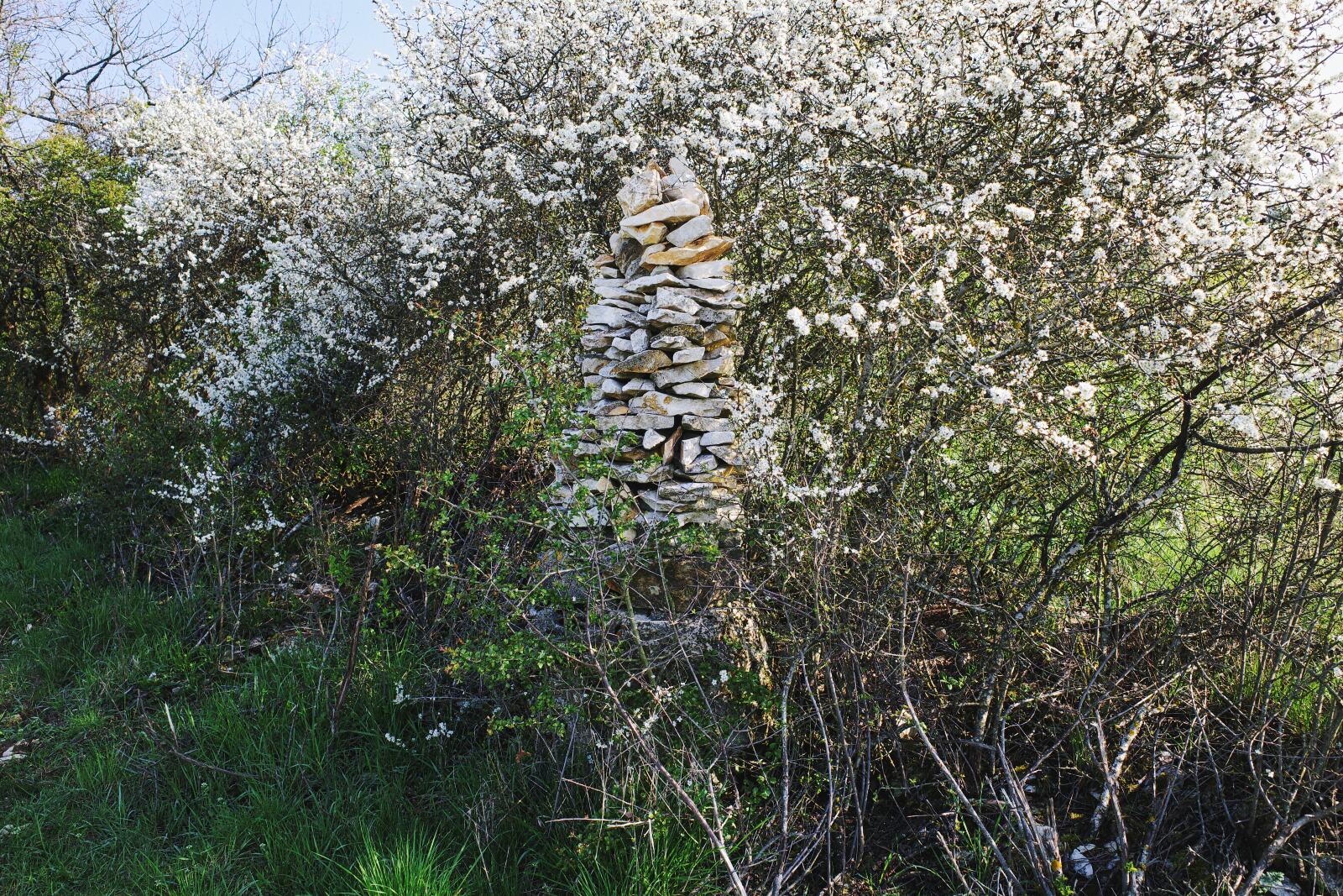 Waischenfeld-Hannberg-Waischenfeld