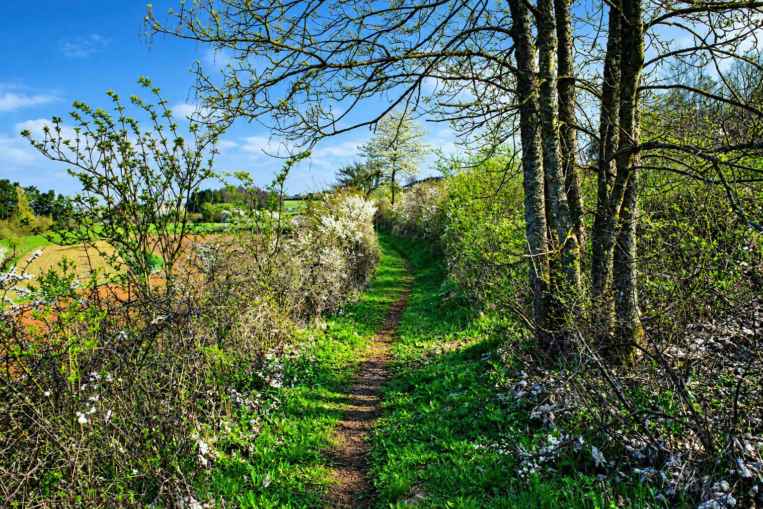 Der Weg auf unserer Wanderung