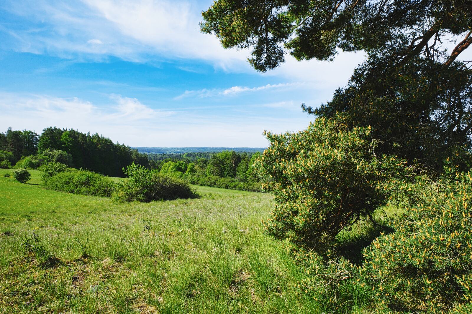 Pottenstein Puettlachtal Pottenstein Blick landschaft