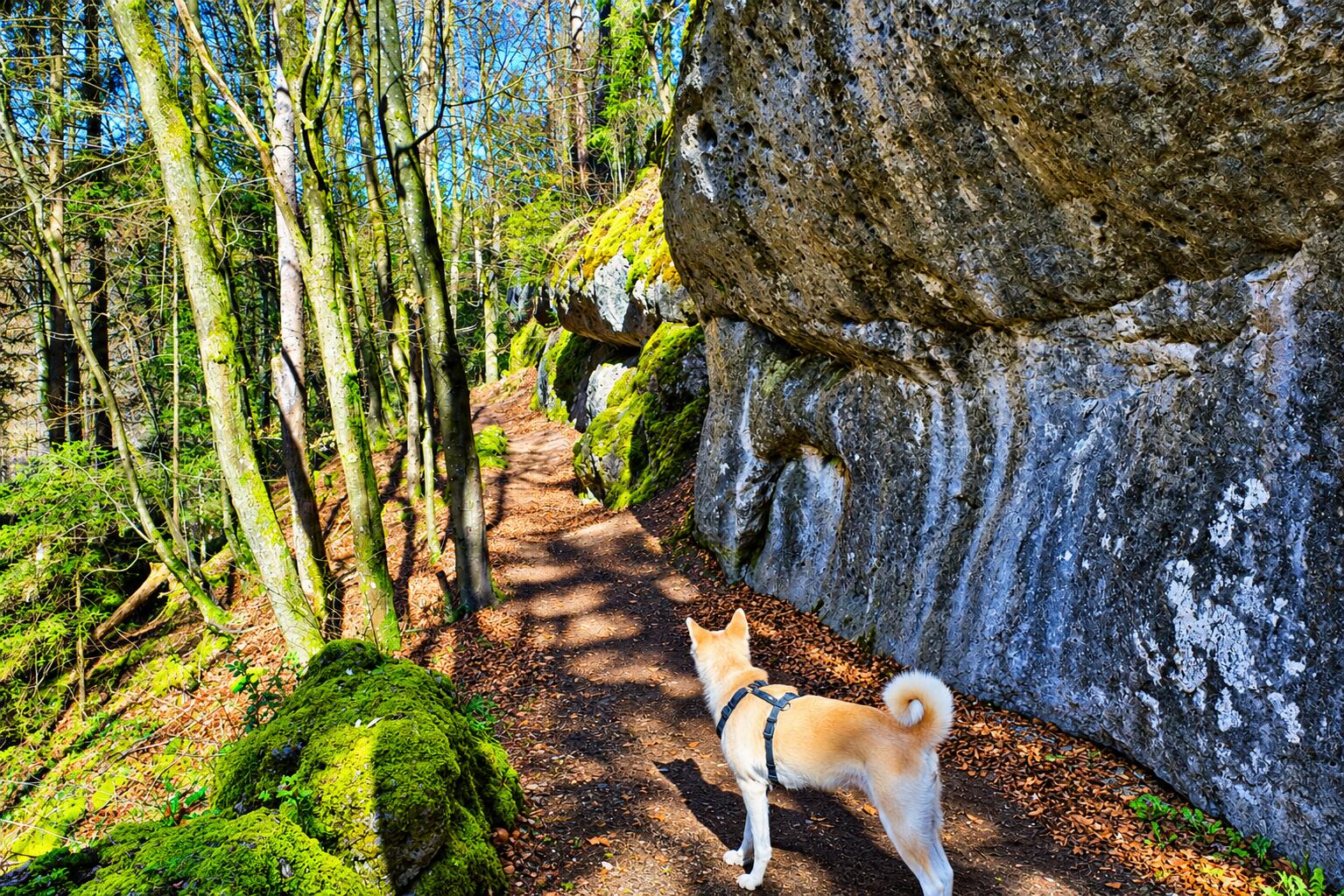 Beim Jägersteig Klumpertal