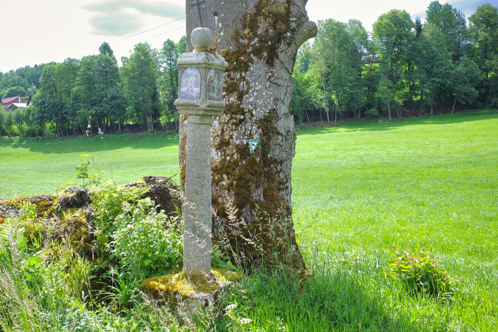 Feldmarter-bei-Ploessberg