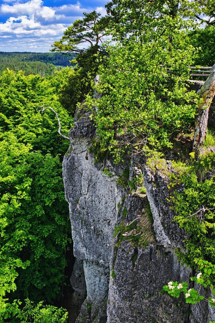 Felsen bei Leienfels