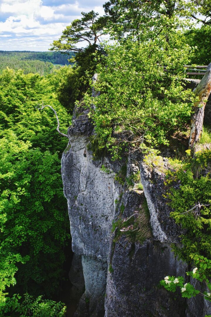 Felsen bei Leienfels
