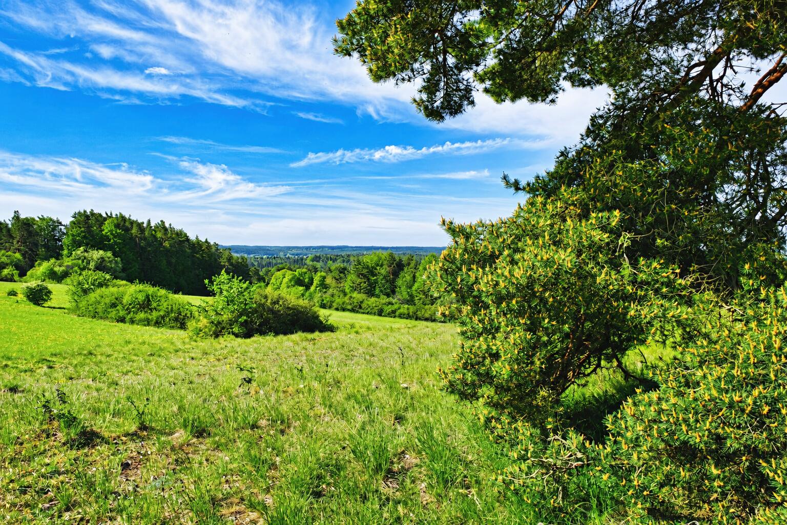 Landschaft bei Pottenstein