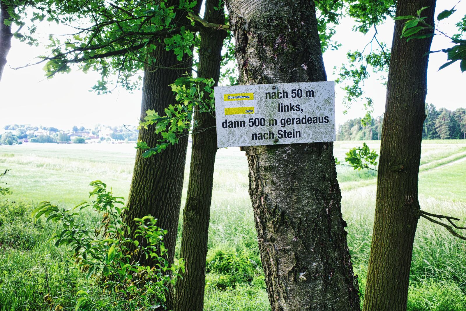 Wegweiser vor Stein/Plößberg