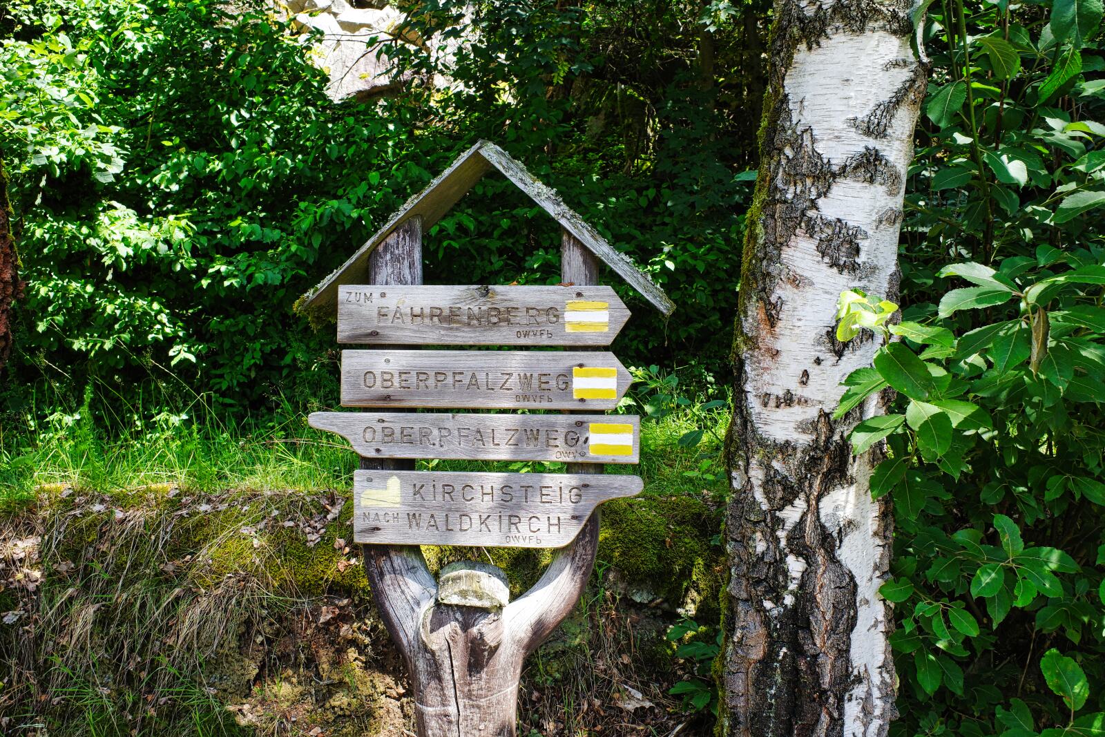 oberpfalzweg tag3