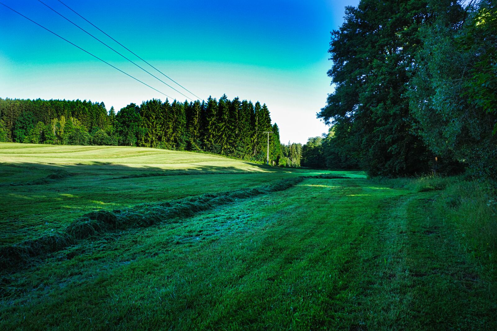 oberpfalzweg tag4 1