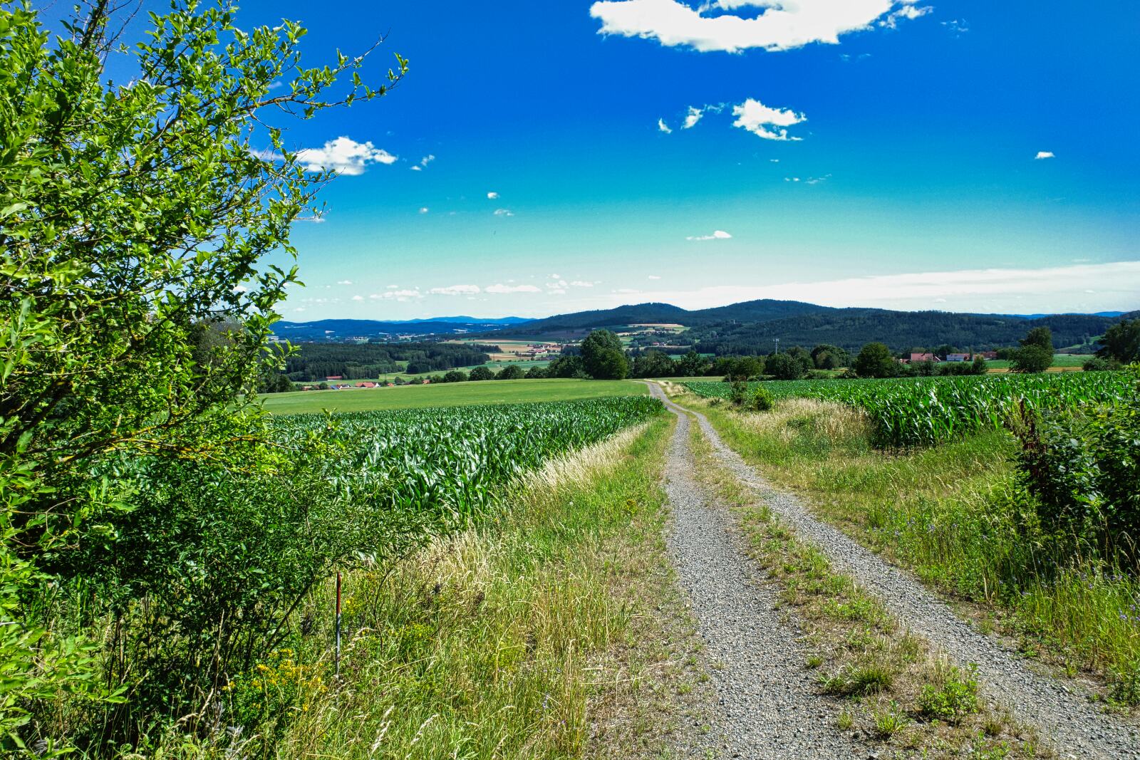 oberpfalzweg tag4