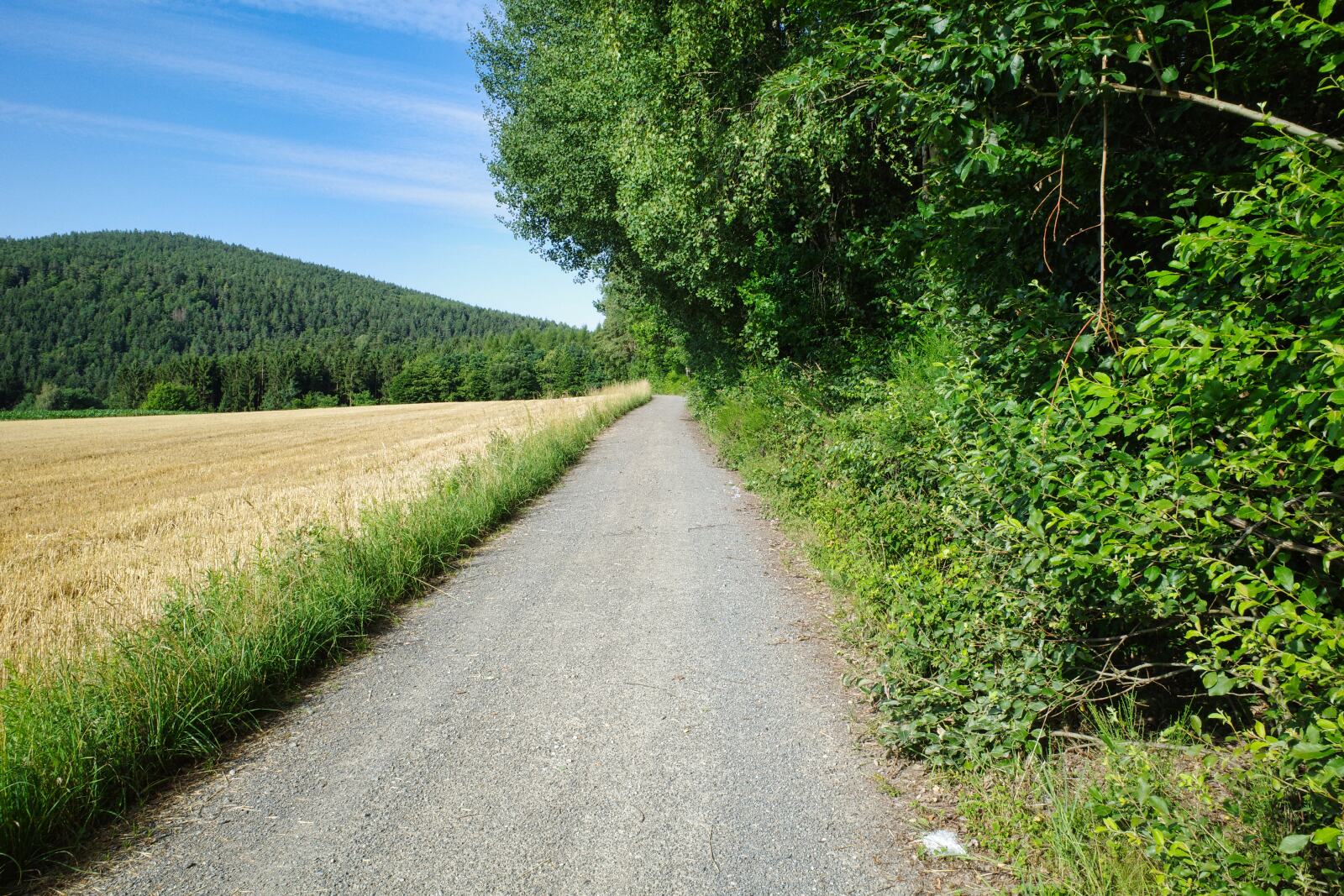 oberpfalzweg tag5 1