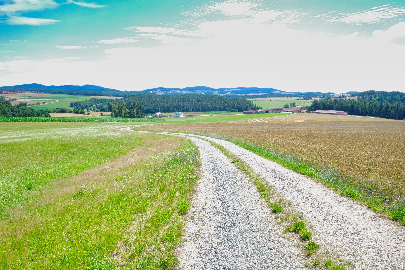 oberpfalzweg tag5 2