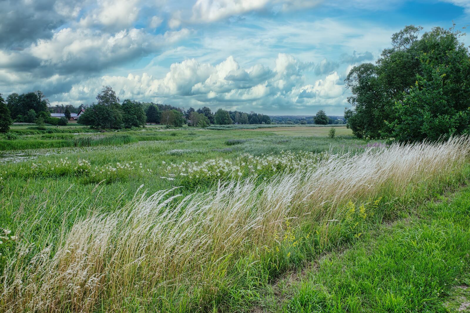 oberpfalzweg tag6 1
