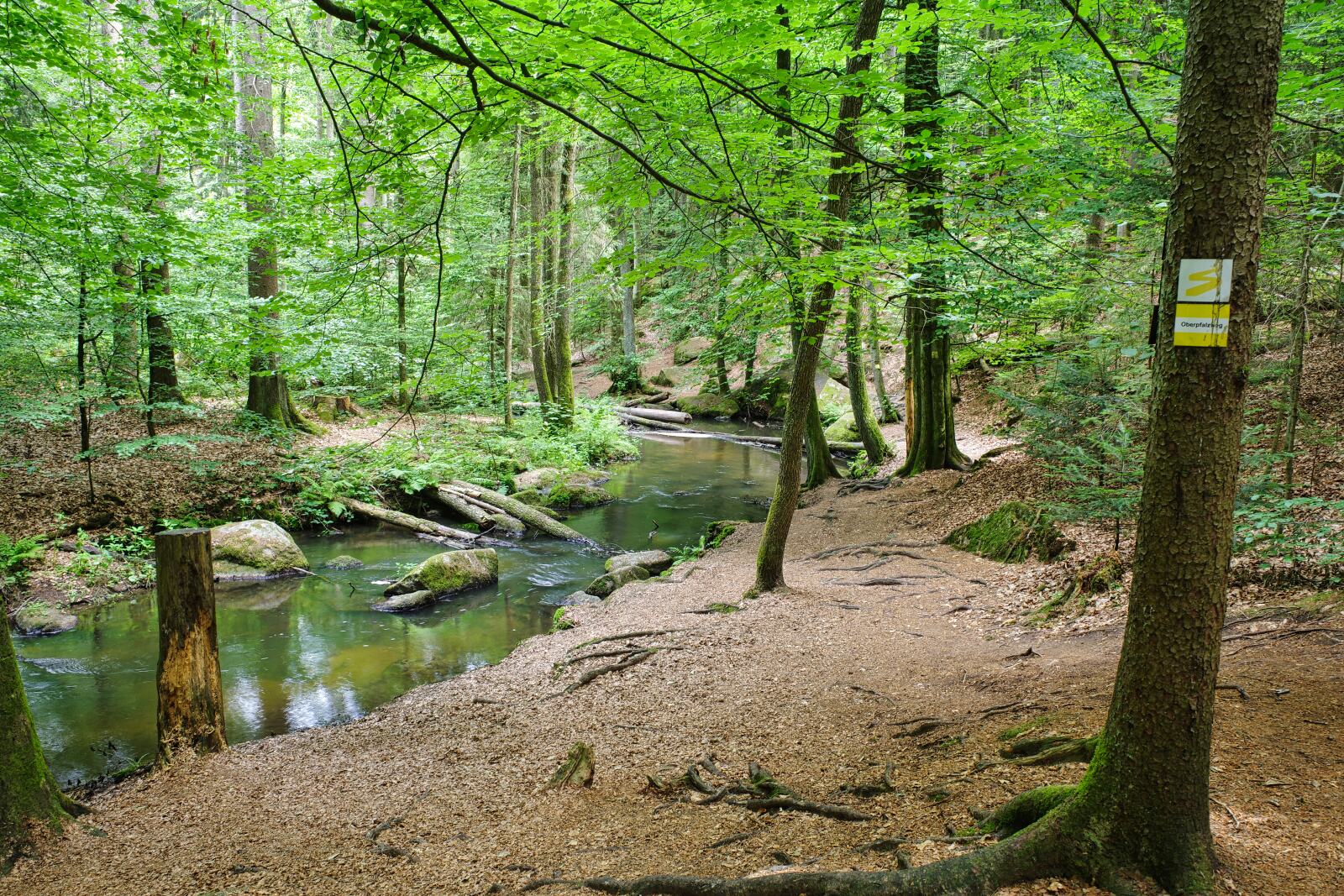Im Höllental
