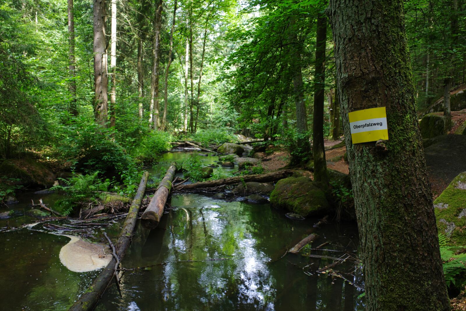 Im Höllental