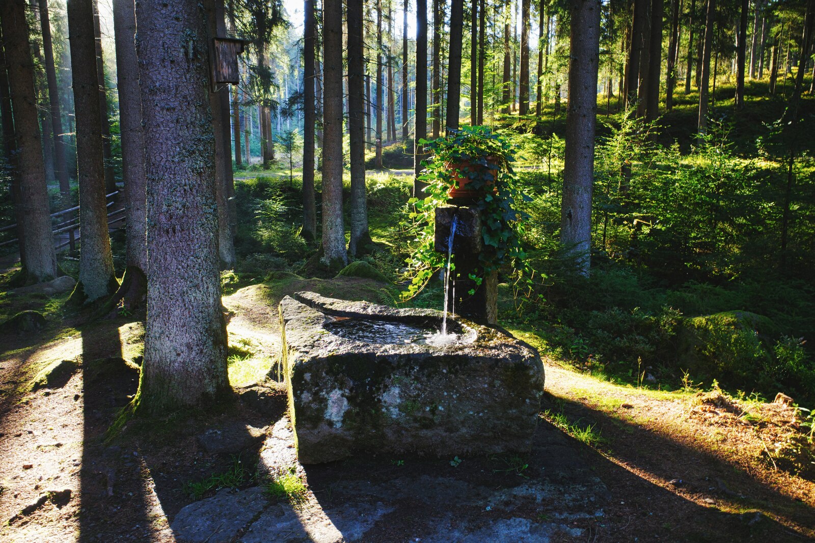 Brunnen bei der Blockhütte