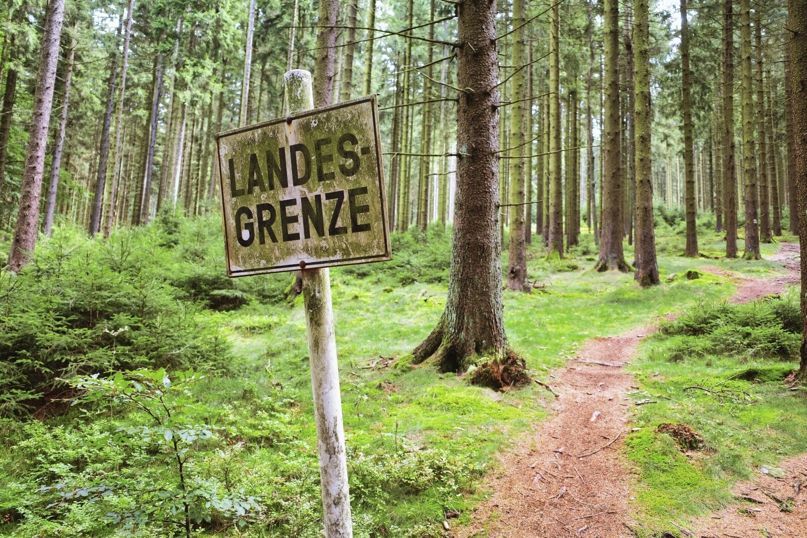 Nurtschweg bei der Landesgrenze