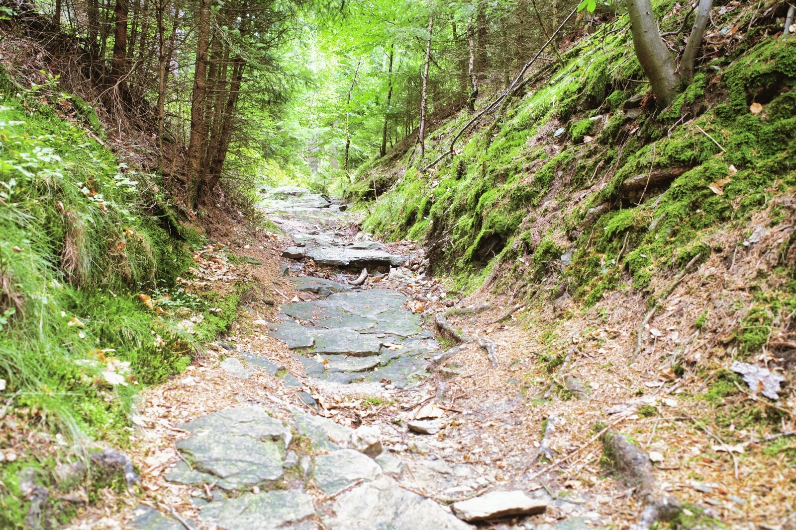 Nurtschweg-Teilabschnitt