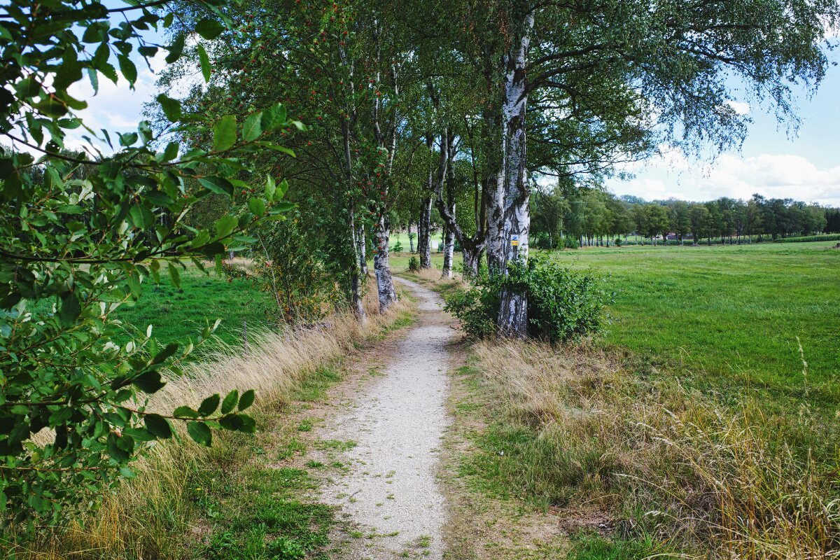 Nurtschweg-Wanderweg