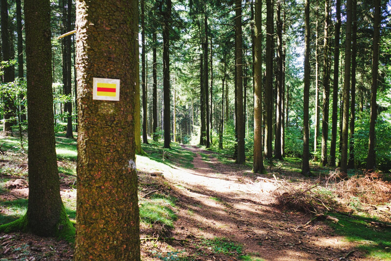 Nurtschweg-Wanderweg