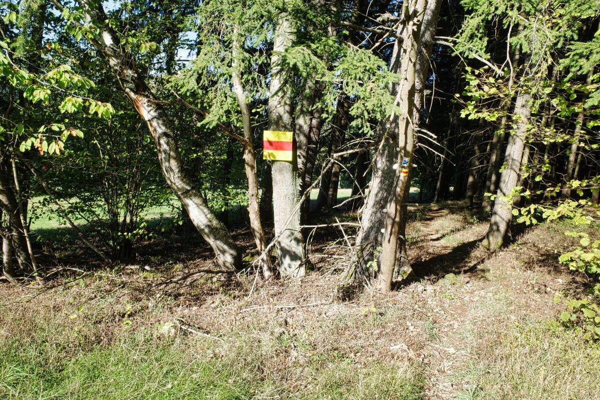 nurtschweg beschilderung