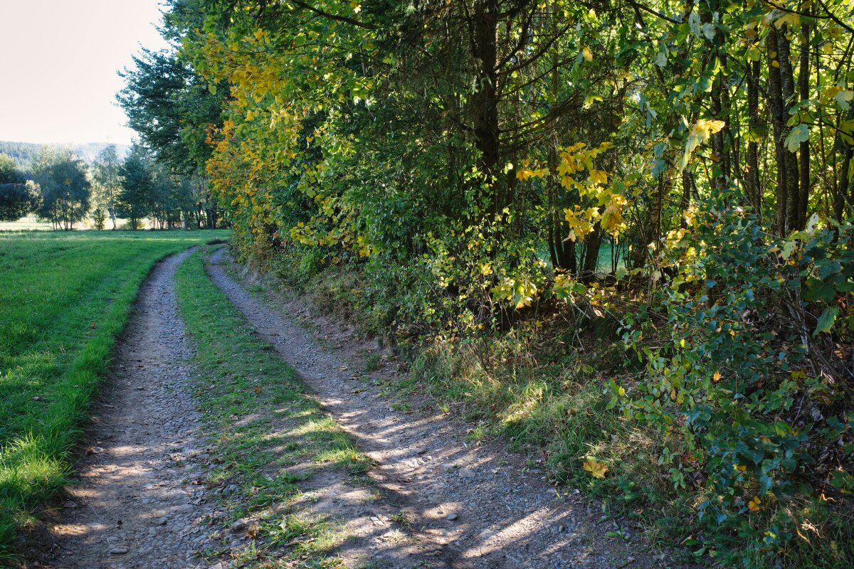 nurtschweg schotterweg
