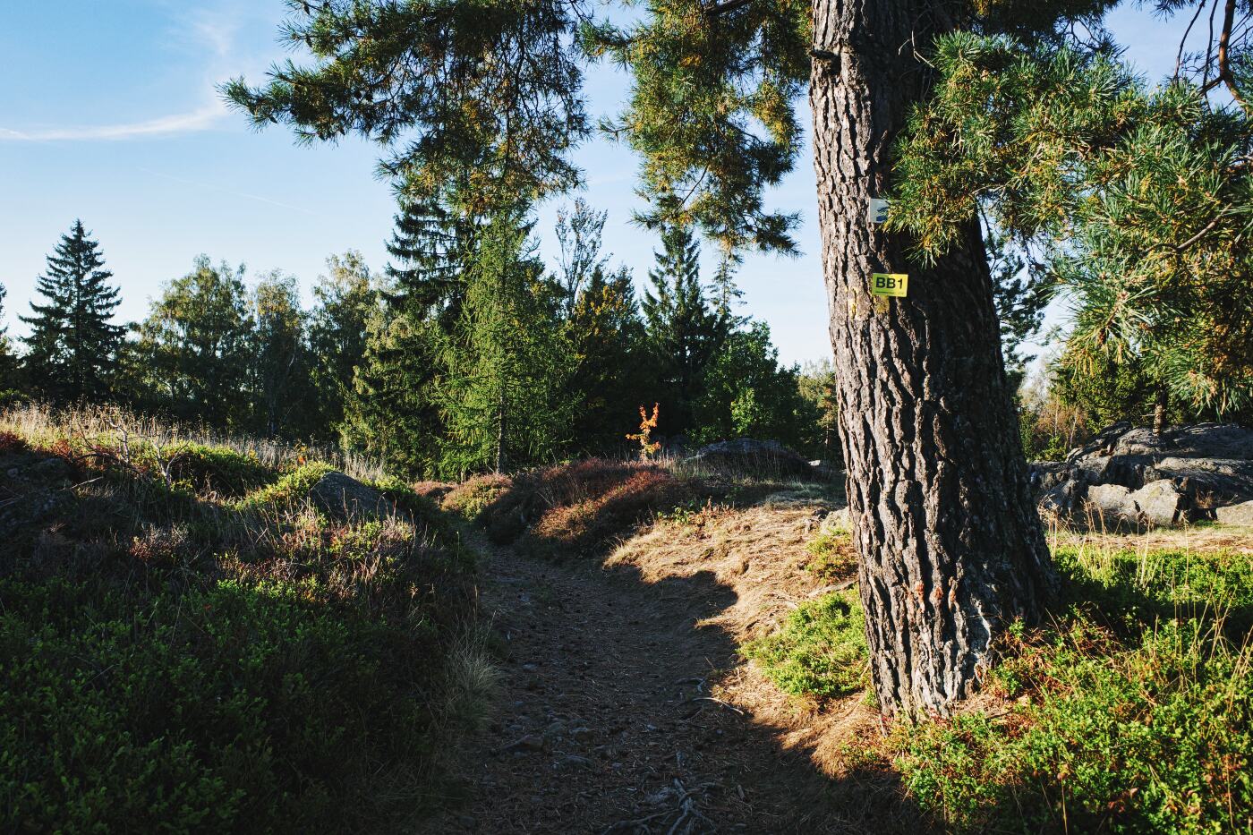 Weg bei Stadtlern