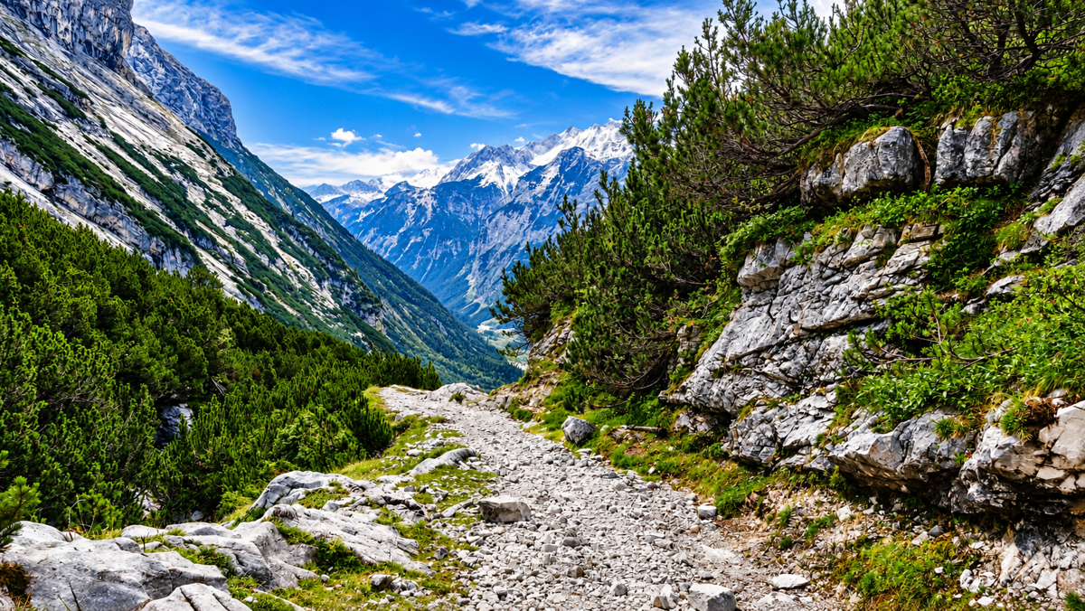 Der Weg