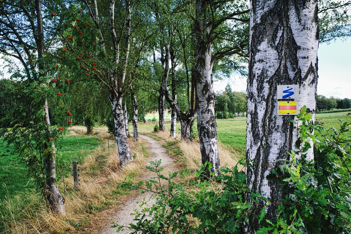 Typischer Wegverlauf des Nurtschweges